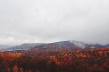 Fall foliage in the mountains.