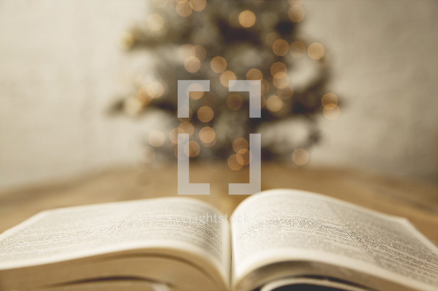 open Bible in front of a Christmas tree 