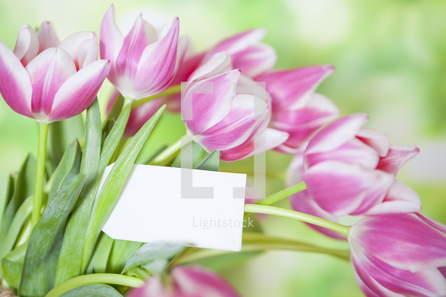 Flowers with Blank Note Card