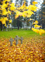 Three tombstone crosses and tree with yellow leaves. Cemetery of German soldiers in Toila, Estonia. Autumn