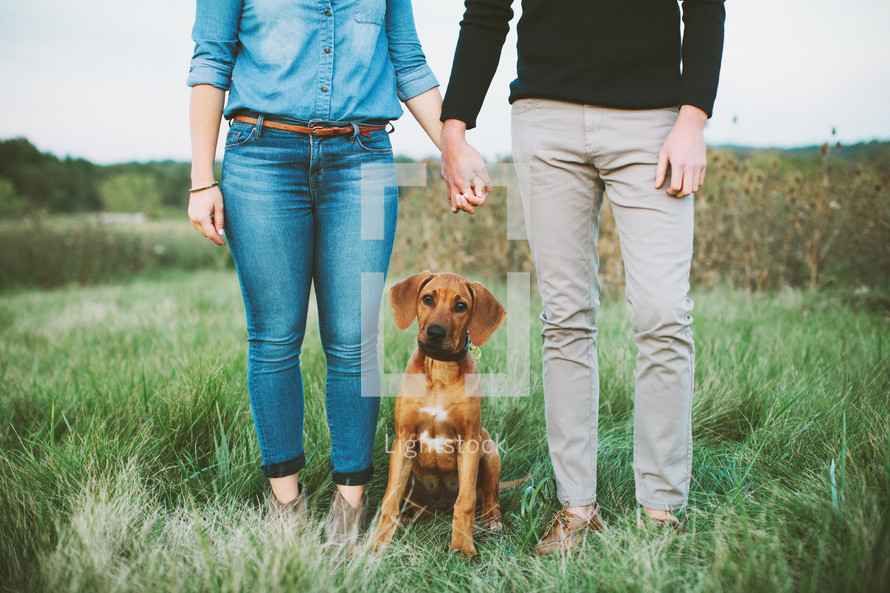 couple holding hands and their pet dog 