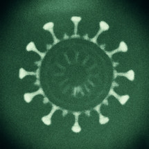 Coronavirus under a microscope 
