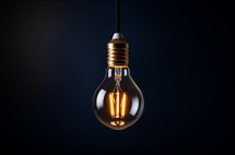 A typical light bulb hangs from the ceiling, illuminating the dark background