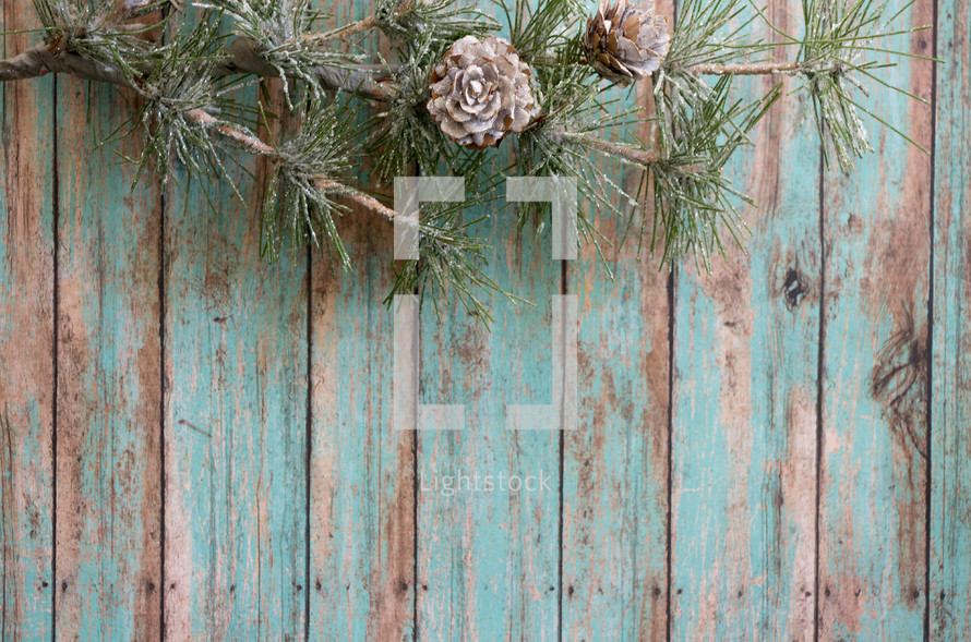 pine greenery on a green wood background 