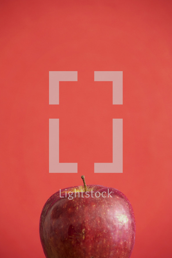 a lone red apple 