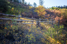 fence in an autumn forest 