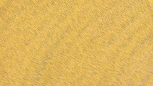 yellow fur texture 