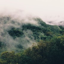 fog and clouds over a green mountain forest 