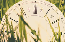 clock in grass 