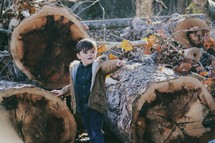 Boy child next to cut trees. 