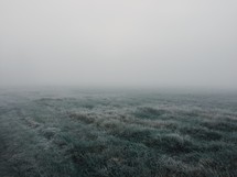 A foggy field of grass.