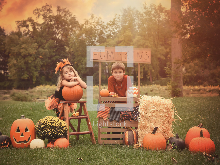 Children at a pumpkin stand 