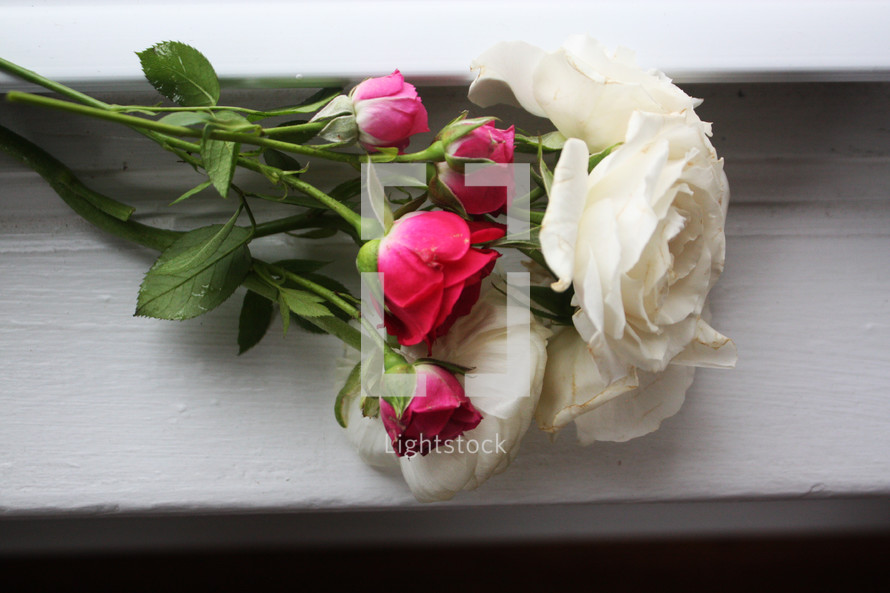 roses in a window sill 