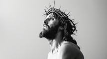  Jesus Christ. Photography with white background