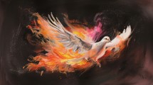 Holy spirit, Dove in flames. Dove of peace on a black background with splashes of color.

