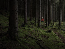 Man with headlamp standing in dark forest
