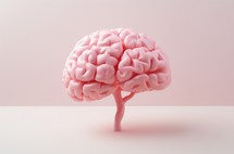 A pink human brain being examined in a laboratory setting, illustrating scientific research and analysis of brain functions