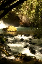 Falls at Banias nature preserve