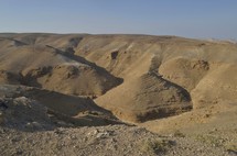 Hills of the Negev wilderness