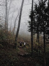 teen boys hiking in the woods 