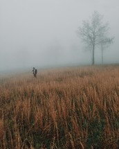 a man standing in a field of tall dry grasses and fog