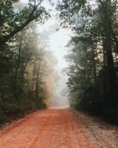 dirt road on a foggy morning 