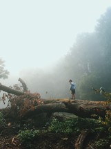 young boy walking across a fallen tree in a foggy forest 