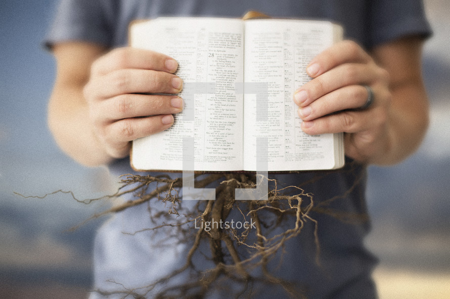 roots of a plant coming out of a Bible against a white background 