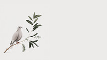 Illustration of a dove and an olive branch with white background and text space