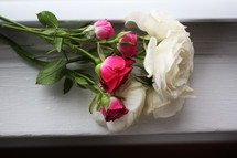 roses in a window sill 