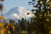 snow capped mount Rainier 
