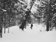 A man walks through a snow covered forest.