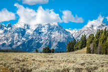 snow on mountain peaks and grassy meadow 
