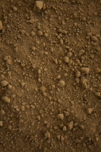 brown dirt background.