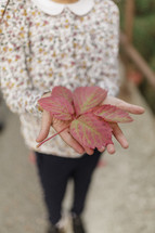 Close up a child's hands holding a a red leaf.