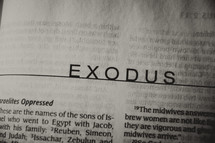 Open Bible in book of Exodus