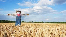 Timelapse of a scarecrow in a field