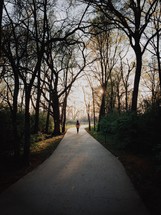 A person walking down a path surrounded by tall trees.