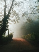 a foggy rural dirt road 