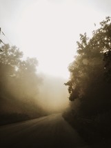 a foggy rural road 