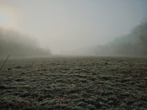 fog over dew on morning grass 