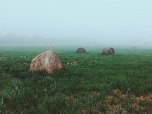 Bales of hay in a foggy field of green grass.