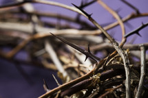 close up of a crown of thorns on purple fabric 