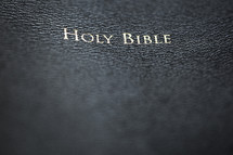 closeup of the Holy Bible title. 