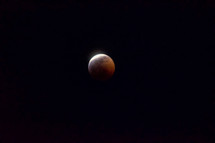 Lunar eclipse wolf Blood moon 
