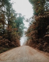fog over a dirt road 