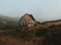 A huge boulder on a hillside.