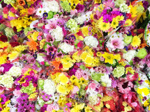 bright floral background.