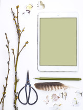 ipad, pussy willow, butterfly, pen, scissors, and feather 