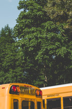 School Bus and trees 